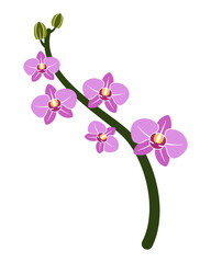 Naklejka na ściany i meble Orchid branch concept vector illustration