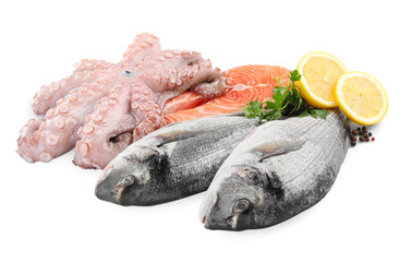 Fresh dorado fish, octopus and salmon on white background
