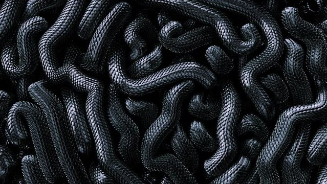 Metal texture dragon scales background. Lively coiled black snakes. 3D abstract background of intertlaced serpents. Close-up of reptile in motion.