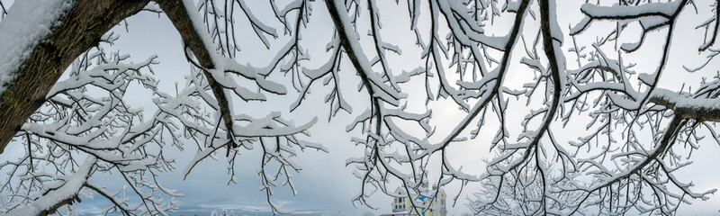Panorama of snow-covered tree and church in the background. Light-steel sky.