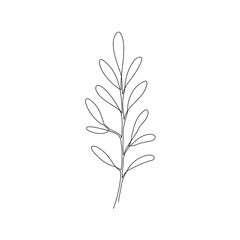 Outline plant eucalyptus leaf. One continuous line art decorative plant leaf. Editable stroke eucalyptus foliage floral element. Isolated vector illustration