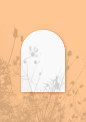 Natural light casts shadows from the wildflowers on a sheet of white textured paper in the shape of an arch on a orange background of the wall. Flat lay, top view. Vertical mockup