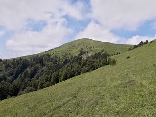 Fototapeta premium Mountain view 