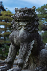 Fototapeta na wymiar 日本　京都府宮津市にある智恩寺の狛犬