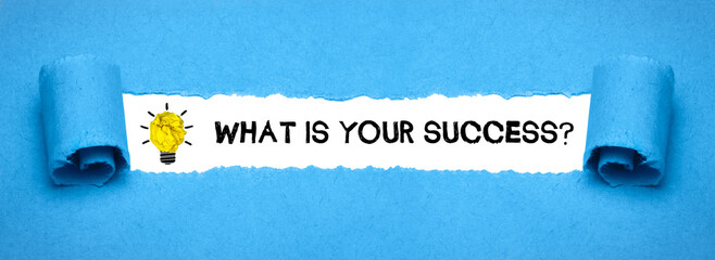 Fototapeta na wymiar What is Your Success? 