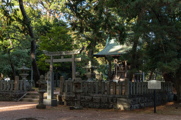 日本　京都府宮津市の丹後天橋立大江山国定公園にある天橋立神社