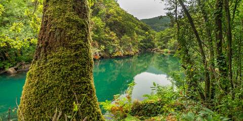 Fragas do Eume Natural Park, Pontedeume, A Coruña, Galicia, Spain, Europe