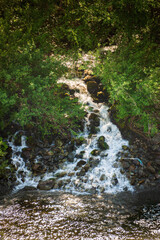 Stream at Klamath National Forest, California