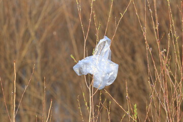 Plastic bag blown by the wind to the branches. Nature pollution.