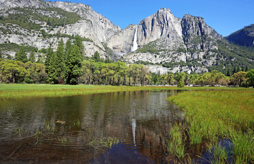 Fototapeta na wymiar On Cooks Meadow - Yosemite National Park, California