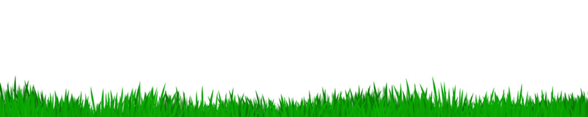 Big transparent png frame of green grass at the bottom. Border for gardening, nature, soccer. White space for your content. Background, backdrop illustration for easter or spring banners or greetings