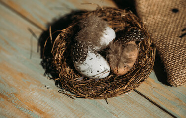 Naklejka na ściany i meble eggs in nest