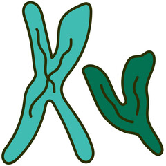 chromosome icon