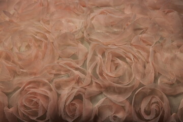 Fototapeta premium delicate pink roses as a background romance and love postcard abstraction flowers handmade