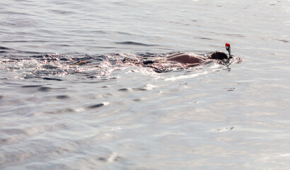 A man with a mask swims in the water of the sea.