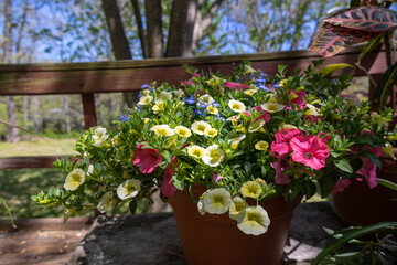 Fototapeta na wymiar Garden Arrangement of Pastel Yellow, Pink, and Blue Flowers