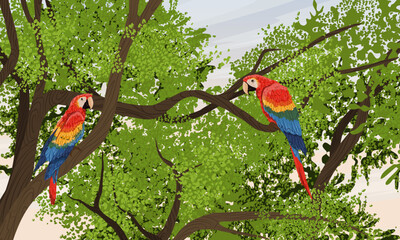 A pair of brightly colored scarlet macaw parrots sits in the crown of a tropical tree. South America and Africa. Realistic vector landscape