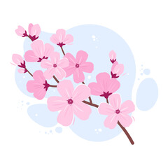 Cherry blossom. Sakura Japanese flower. Vector illustration isolated on white background
