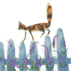 Cat walking on the fence transparent png