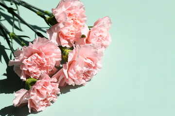 bouquet of pink carnations close-up on a green background with copy space