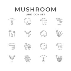 Set line icons of mushroom