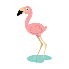 cute flamingo cartoon flat animal