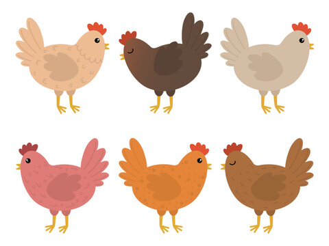 Set of cute chickens. Easter colored cartoon chickens. Vector illustration of a chicken. Set of cute cartoon chicken illustrations.