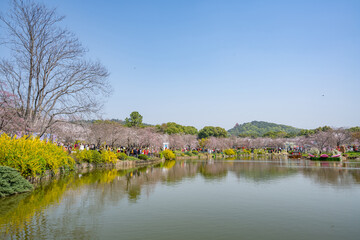 Scenery of East Lake Park in Wuhan, China