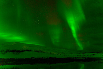 aurora borealis northern lights tromso norway