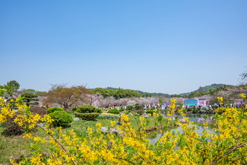 Scenery of East Lake Park in Wuhan, China