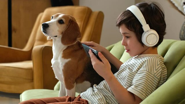 The comfort of home. Join this heartwarming scene of a boy and his beagle dog cuddled up on the couch. Experience the peace and relaxation that pets can bring to the home environment
