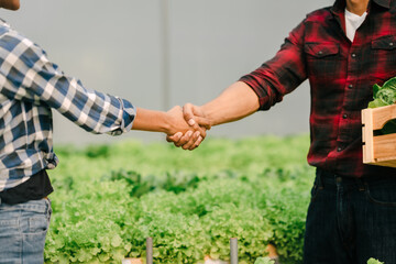 Shaking hands, Young friends smart farmer gardening, checking quality together in the salad hydroponic garden greenhouse, working together.