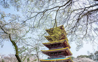 Five-storied pagoda in East Lake Park, Wuhan, China