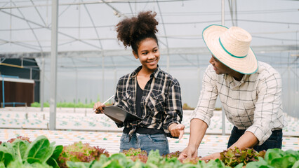 Young friends smart farmer gardening, checking quality together in the salad hydroponic garden greenhouse, working together.