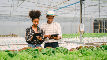 Young friends smart farmer gardening, checking quality together in the salad hydroponic garden greenhouse, working together.