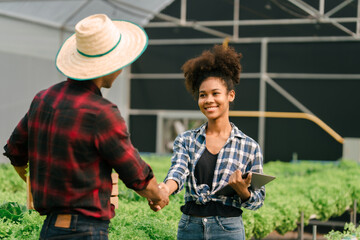 Shaking hands, Young friends smart farmer gardening, checking quality together in the salad hydroponic garden greenhouse, working together. - obrazy, fototapety, plakaty