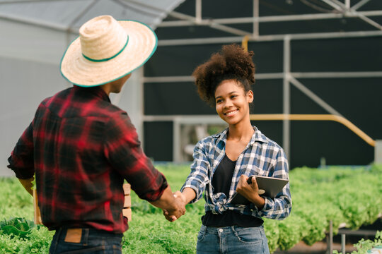 Shaking hands, Young friends smart farmer gardening, checking quality together in the salad hydroponic garden greenhouse, working together.