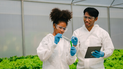 African American Plant Genetic Expert researcher and friends testing quality and bacteria contained in the mixture of water in a closed greenhouse hydroponic vegetable garden