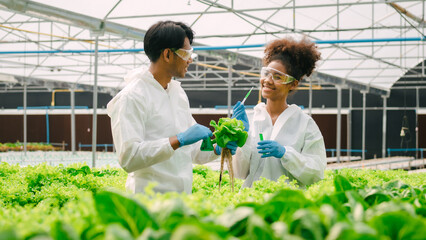 African American Plant Genetic Expert researcher and friends testing quality and bacteria contained...
