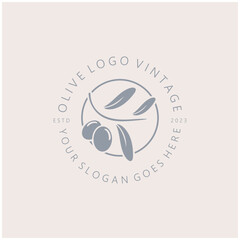 leaf plant logo and natural olive fruit .Herbal,olive oil,cosmetics or beauty,business,cosmetology,agriculture,ecology concept,spa,health,yoga center,vector
