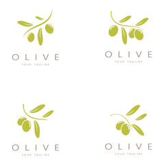 leaf plant logo and natural olive fruit .Herbal,olive oil,cosmetics or beauty,business,cosmetology,agriculture,ecology concept,spa,health,yoga center,vector