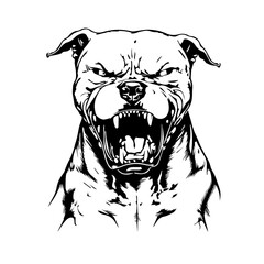 pitbull vector svg