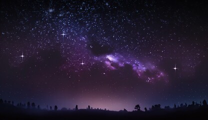 Fototapeta premium starry night sky