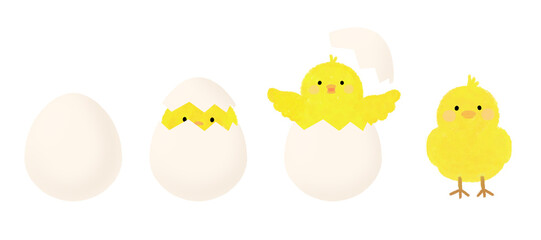 Illustration of a chick breaking out of an eggshell, 달걀 껍질 깨고 나오는 병아리 일러스트 - obrazy, fototapety, plakaty