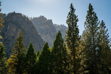 Mountain Landscape Vista at Kings Canyon National Park