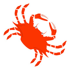 decapod crustaceans concept, Dungeness crab Cancridae vector design, Sea Food symbol, Underwater Animals aquatic Common species illustration 