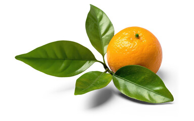 Tangerine with Leaves Transparent Background - Generative AI
