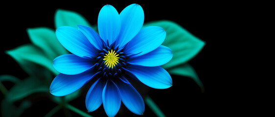 Obraz premium Blue flower on black background. Generative Ai