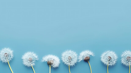Banner with dandelions. Copy space, top view, festive background. Generative AI.