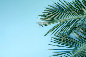 Banner with palm leaves. Copy space, top view, summer background. Generative AI.